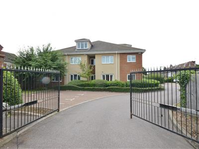 Picture 7